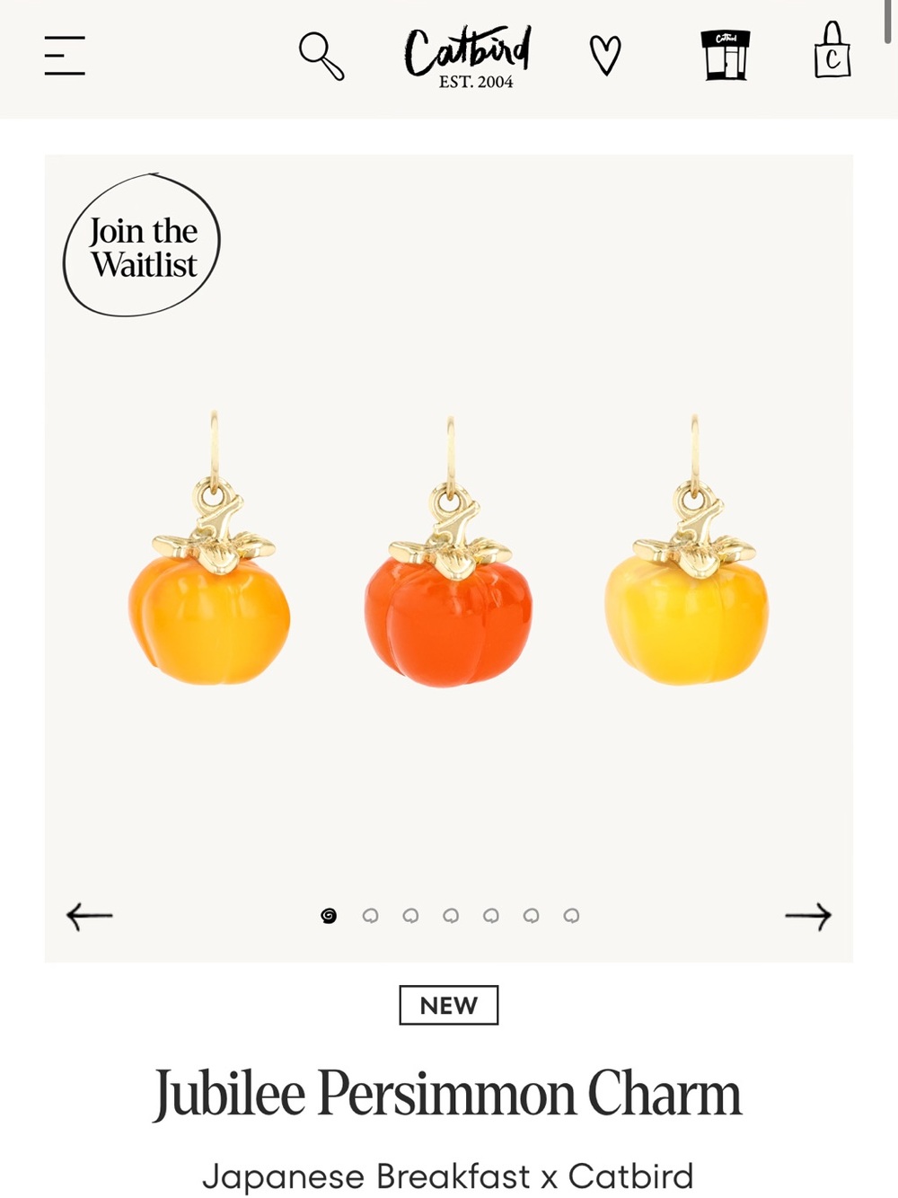 ISO DO NOT BUY CATBIRD x JAPANESE BREAKFAST PERSIMMON CHARM